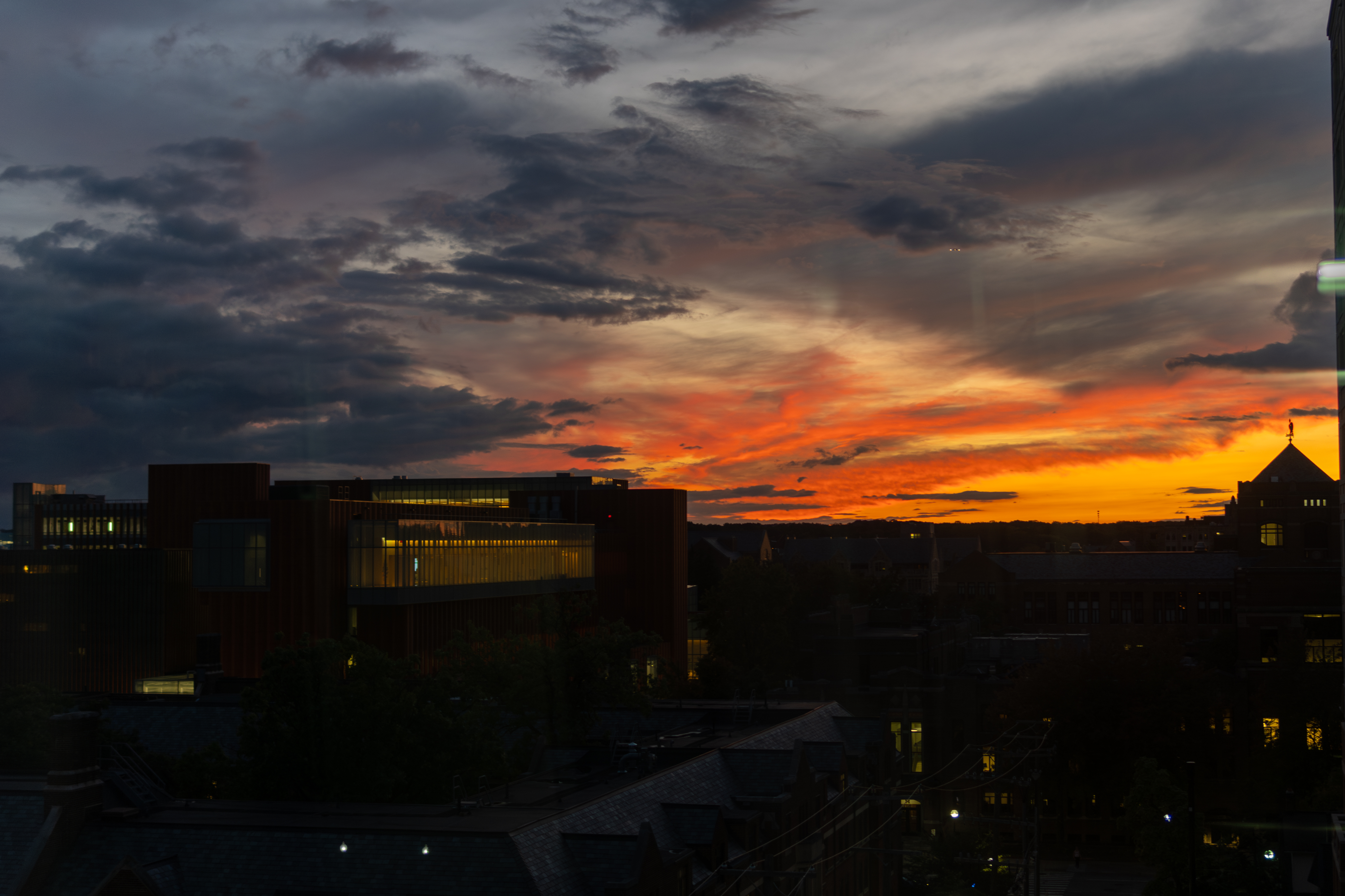 Ann Arbor, photo 6.